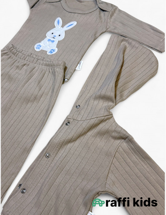 Dovşan dostum 3-lü dəst - türkiyə istehsalı pambıq uşaq geyimi|Raffikids